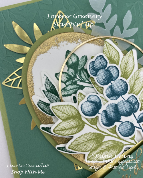 Stampin With Diane Forever Greenery SU Stampin With Diane Forever Greenery SU