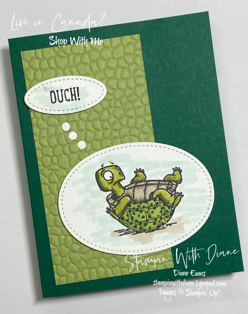 Back On your Feet Stampin With Diane Evans