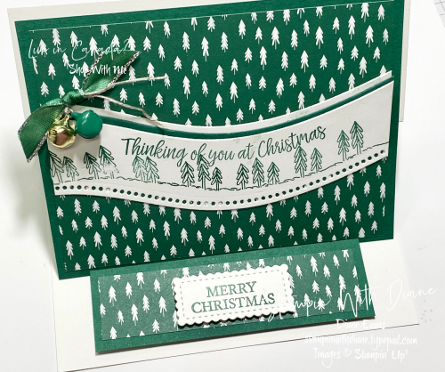 Curvy Christmas SU Stampin With Diane Evans B Curvy Christmas SU Stampin With Diane Evans B