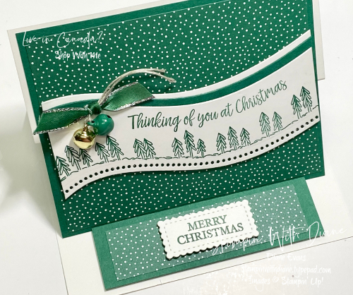 Curvy Christmas SU Stampin With Diane Evans A Curvy Christmas SU Stampin With Diane Evans A