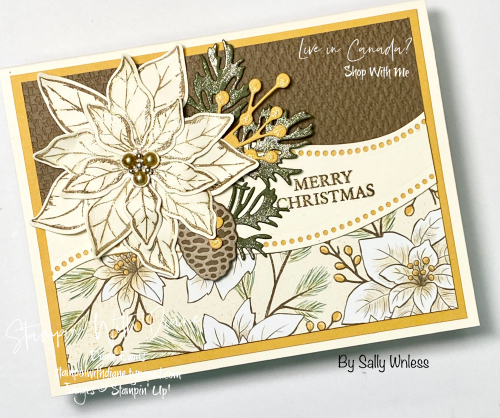 Curvy Christmas Stampin' Up! Stampin With Diane Evans D Curvy Christmas Stampin' Up! Stampin With Diane Evans D