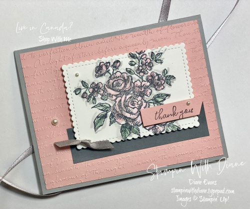 Fancy Phrases SU 2 Stampin With Diane Evans Fancy Phrases SU 2 Stampin With Diane Evans