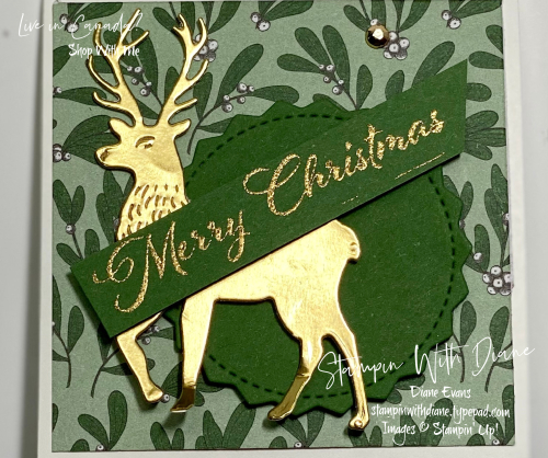 Wishes and Wonder STampin With Diane Evans Wishes and Wonder STampin With Diane Evans