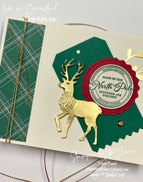 Wishes and Wonder SU 1 Stampi With Diane Evans