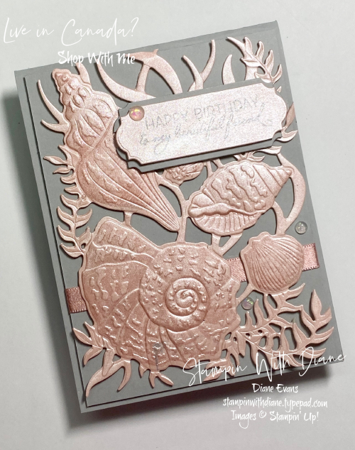 Sand and Sea Suite SU Stampin With Diane Evans