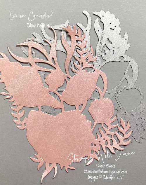 Sand and Sea SU CUT Stampin With Diane Evans