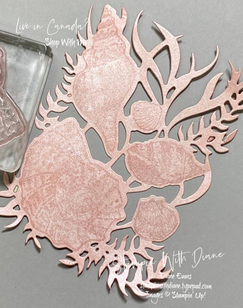 Sand and Sea Su Stamp Stampin With Diane Evans