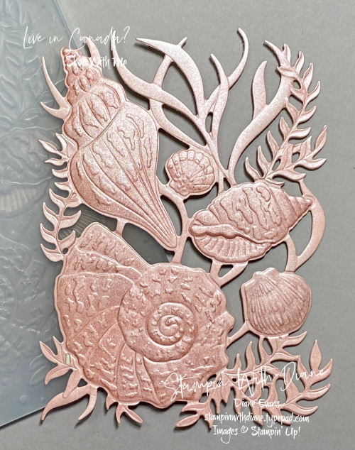 Sand and Sea Stampin Up Emboss Stampin With Diane Evans