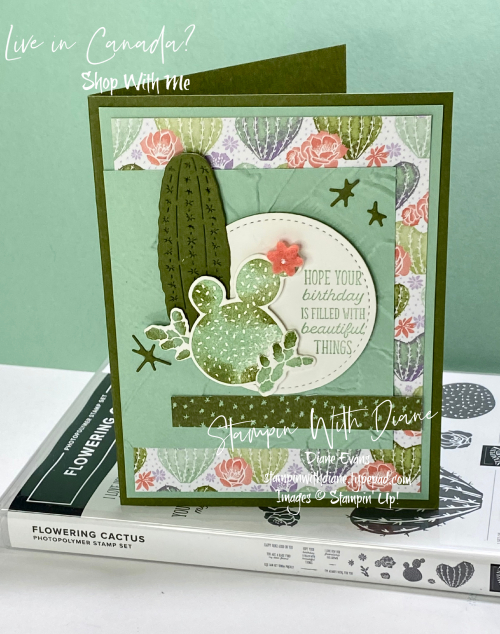 Flowering Cactus Stampin Up! Stampin With Diane Evans