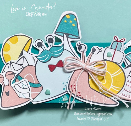 Snailed it Belly Band SU Stampin With Diane Evans