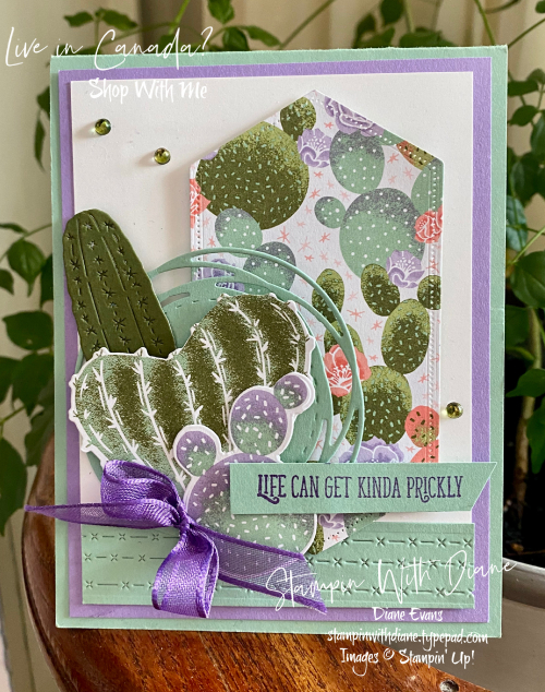 Flowering Cactus Stampin' Up! Stampin by Diane Evans