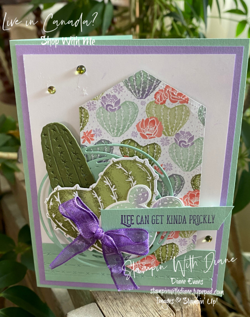 Flowering Cactus Stampin' Up! Stamping by Diane Evans
