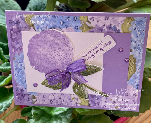 Hydrangea Haven Stampin' Up! Stampin With Diane Evans7