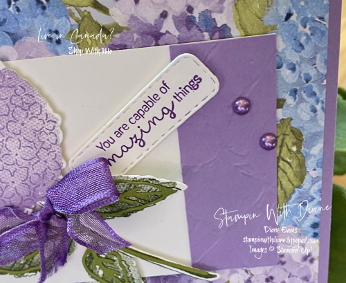 Hydrangea Haven Stampin Up Stampin With Diane Evans 5