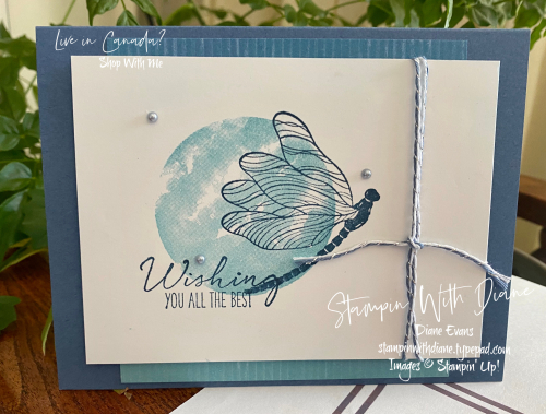Circle Salebrations Stampin Up Stampin With Diane Evans