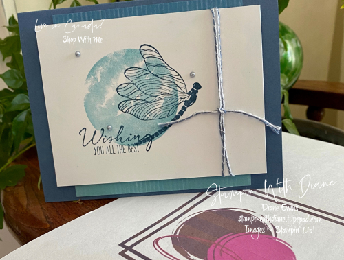 Suite Sampler Stampin' Up! Stampin With Diane Evan