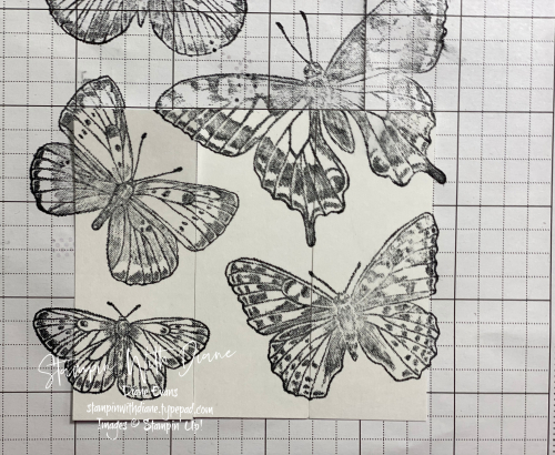 Stamparatus Stampin With Diane Evans Stamparatus Stampin With Diane Evans