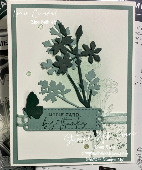 Quiet Meadow Stampin' Up Stampin With Diane Evans