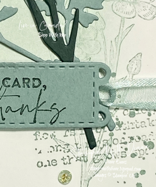 Quiet Meadows 4 Stampin Up! stampin With Diane Evans