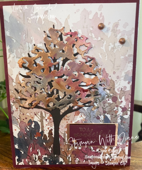 Beauty of Friendship Stampin Up Stampin With Diane Evans