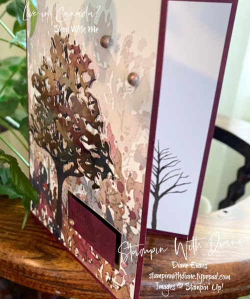 Beauty of Friendship Stampin' Up Stampin With Diane Evans