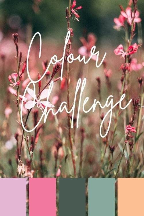 Colour challenge Colour challenge