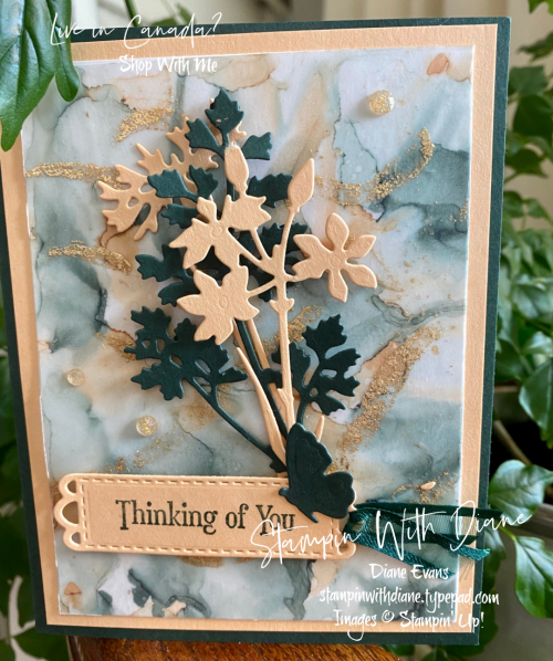 Quiet Meadows Vellum Stampin' Up! Stampin With Diane Evans Quiet Meadows Vellum Stampin' Up! Stampin With Diane Evans