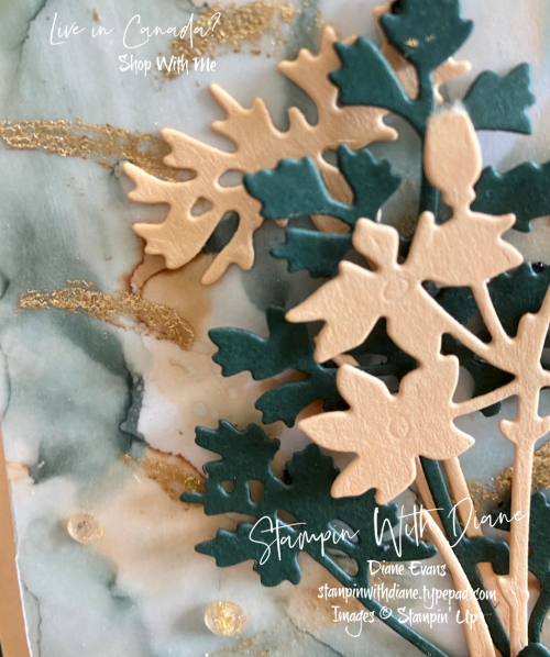 Quiet Meadow Vellum Stampin Up Stampin With Diane Evans Quiet Meadow Vellum Stampin Up Stampin With Diane Evans
