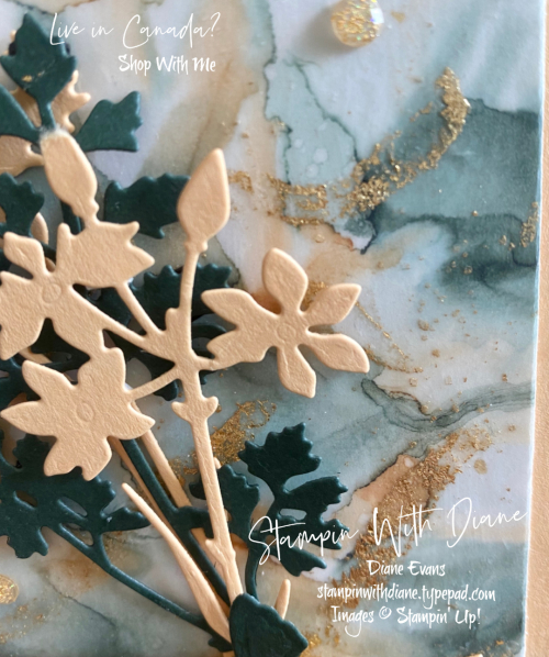 Quiet Meadows Vellum Stampin Up Stampin With Diane Evans Quiet Meadows Vellum Stampin Up Stampin With Diane Evans