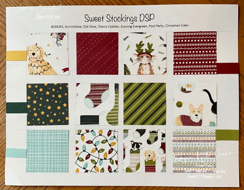 DSP Sweet Stockings