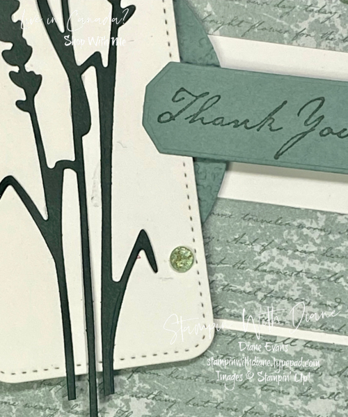 Harvest Meadow DSp STampin Up Stampin With Diane Evans Harvest Meadow DSp STampin Up Stampin With Diane Evans