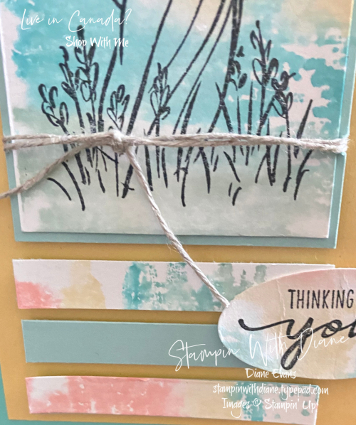 Beautiful Moments SU STampin With Diane Evans Beautiful Moments SU STampin With Diane Evans
