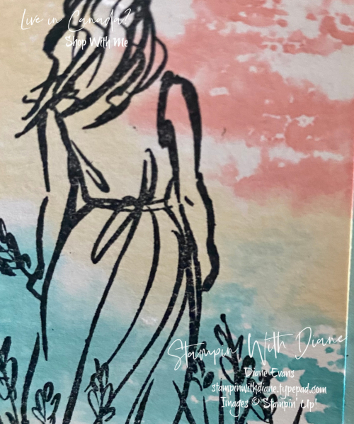 Beautiful Moments Stampin' Up Stampin With Diane Evans ! Beautiful Moments Stampin' Up Stampin With Diane Evans !