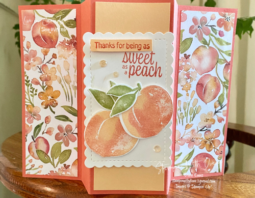 Sweet As a Peach Stampin' Up Stamoun With Diane Evans