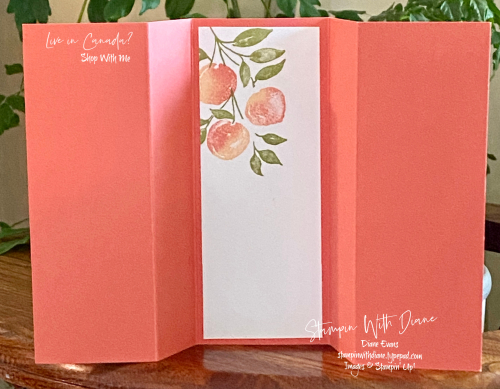 Sweet As a Peach Stampin' Up! Stampin With Diane Evans