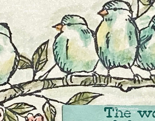 Soft Pastel Technique Stampin Up Stampin With Dian Evans