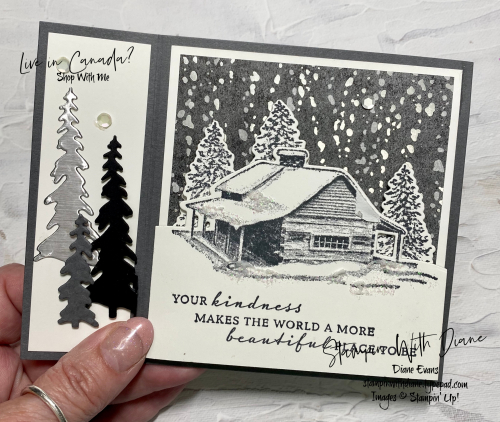 Peaceful cabin stampin up Stampin With Diane Evans 1
