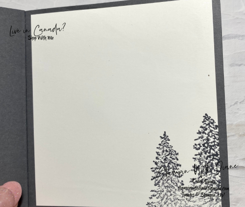 Peacefulcabin stampin up Stampin With Diane Evans copy
