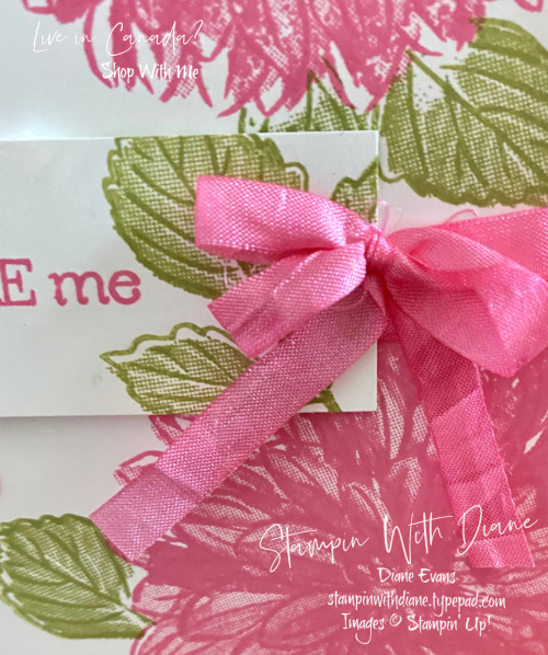 Delicate Dahlias Stampin Up Stampin With Diane Evans 2 Delicate Dahlias Stampin Up Stampin With Diane Evans 2