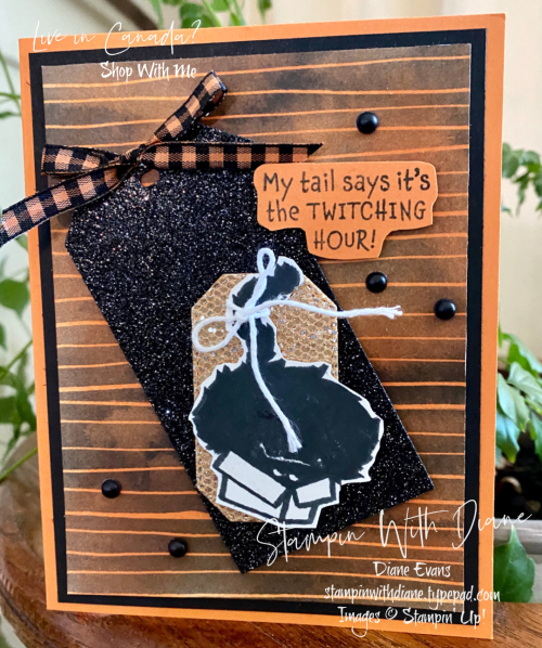 Clever Cats Stampin Up SAB Stampin With Diane Evans Clever Cats Stampin Up SAB Stampin With Diane Evans