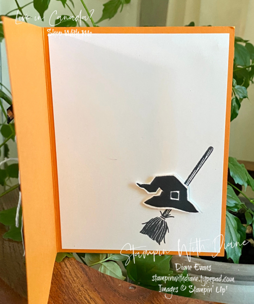 Clever Cats Stampin Up SAB Stampin With Diane Evans 2 Clever Cats Stampin Up SAB Stampin With Diane Evans 2