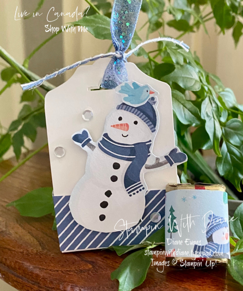 Penguin Playmates Stampin Up Stampin With Diane Evans