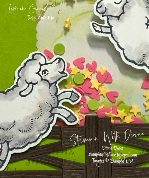 Counting Sheep SU Stampin With Diane Evans Counting Sheep SU Stampin With Diane Evans