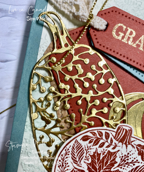 Pretty Pumpkin Stampin' Up! CU Stampin With Diane Evans Pretty Pumpkin Stampin' Up! CU Stampin With Diane Evans