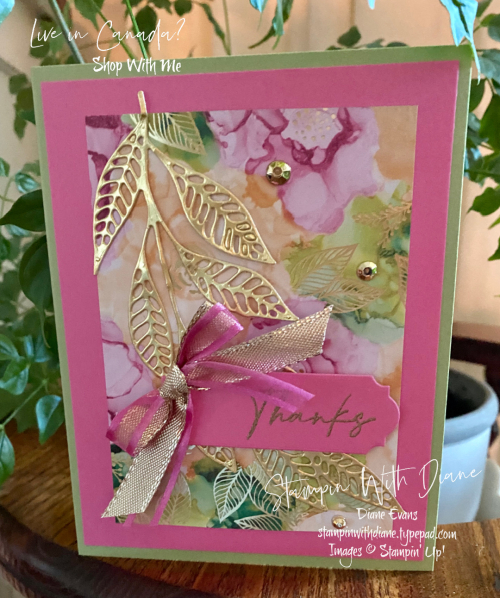 Expressions in Ink Stampin' Up Stampin With Diane Evans ty Expressions in Ink Stampin' Up Stampin With Diane Evans ty