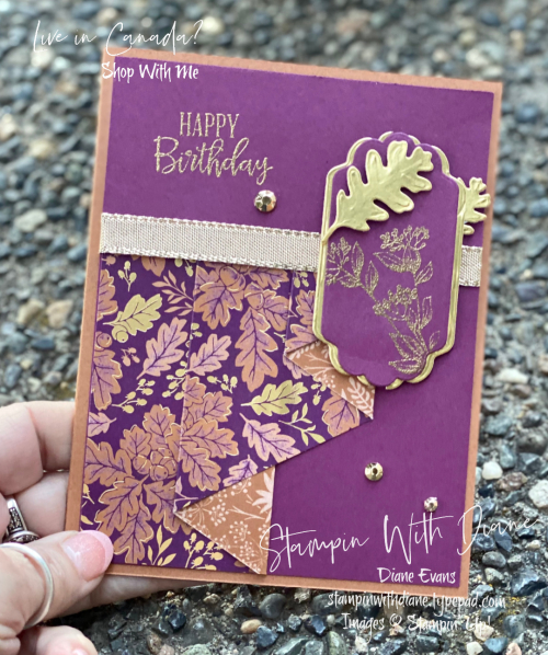 Draper fold Balckberry Beauty STampin Up Stampin With Diane Evans