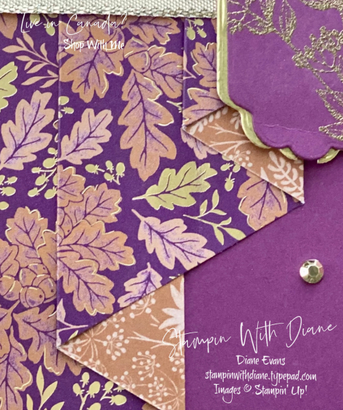 Blackberry Beauty Stampin Up CU Stampin Wtih Diane Evans