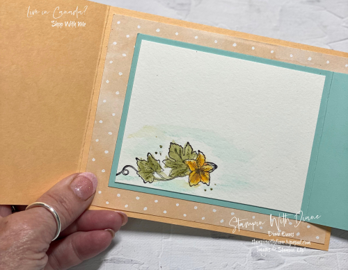 Pretty Pumpkin Stampin Up Stampin With Diane Evans 2