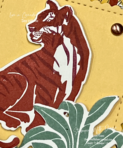 Wild Cats Stampin' Up Stampin Up! CU Stampin With Diane Evans Wild Cats Stampin' Up Stampin Up! CU Stampin With Diane Evans