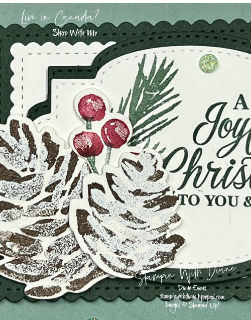 Christmas Season Stampin' Up! Close up Stampin With Diane Evans Christmas Season Stampin' Up! Close up Stampin With Diane Evans